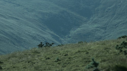extant_GameOfThrones_3x03-WalkOfPunishment_4476