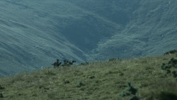 extant_GameOfThrones_3x03-WalkOfPunishment_4477