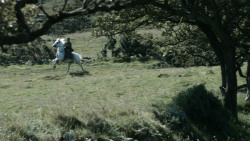 extant_GameOfThrones_3x03-WalkOfPunishment_4502