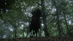 extant_GameOfThrones_3x03-WalkOfPunishment_4537