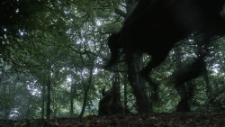 extant_GameOfThrones_3x03-WalkOfPunishment_4538