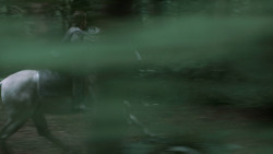 extant_GameOfThrones_3x03-WalkOfPunishment_4540
