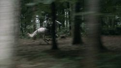 extant_GameOfThrones_3x03-WalkOfPunishment_4542