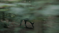 extant_GameOfThrones_3x03-WalkOfPunishment_4548