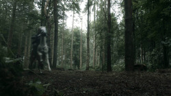 extant_GameOfThrones_3x03-WalkOfPunishment_4552