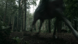 extant_GameOfThrones_3x03-WalkOfPunishment_4553