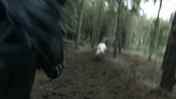 extant_GameOfThrones_3x03-WalkOfPunishment_4570