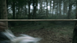 extant_GameOfThrones_3x03-WalkOfPunishment_4581