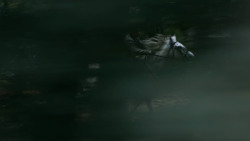 extant_GameOfThrones_3x03-WalkOfPunishment_4591