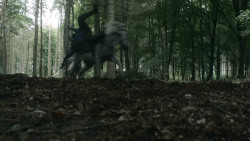 extant_GameOfThrones_3x03-WalkOfPunishment_4599