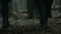 extant_GameOfThrones_3x03-WalkOfPunishment_4633