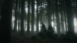 extant_GameOfThrones_3x03-WalkOfPunishment_4674