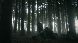 extant_GameOfThrones_3x03-WalkOfPunishment_4675