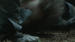 extant_GameOfThrones_3x03-WalkOfPunishment_4693