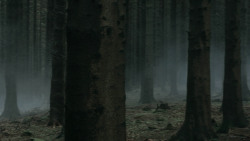 extant_GameOfThrones_3x03-WalkOfPunishment_4710