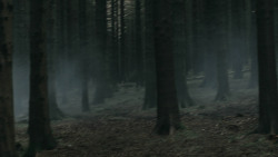 extant_GameOfThrones_3x03-WalkOfPunishment_4712