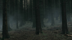 extant_GameOfThrones_3x03-WalkOfPunishment_4714