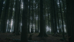 extant_GameOfThrones_3x03-WalkOfPunishment_4773