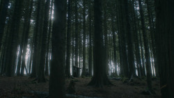 extant_GameOfThrones_3x03-WalkOfPunishment_4774