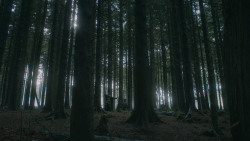 extant_GameOfThrones_3x03-WalkOfPunishment_4775