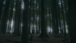 extant_GameOfThrones_3x03-WalkOfPunishment_4777