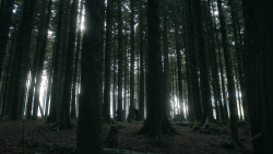 extant_GameOfThrones_3x03-WalkOfPunishment_4815