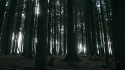 extant_GameOfThrones_3x03-WalkOfPunishment_4816