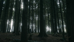 extant_GameOfThrones_3x03-WalkOfPunishment_4817