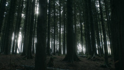 extant_GameOfThrones_3x03-WalkOfPunishment_4818