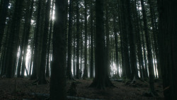 extant_GameOfThrones_3x03-WalkOfPunishment_4819