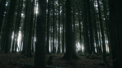 extant_GameOfThrones_3x03-WalkOfPunishment_4820