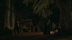 extant_GameOfThrones_3x03-WalkOfPunishment_5133