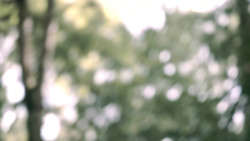 extant_GameOfThrones_3x04-AndNowHisWatchIsEnded_0029