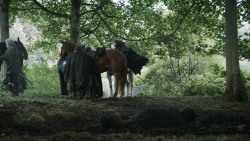 extant_GameOfThrones_3x04-AndNowHisWatchIsEnded_0084