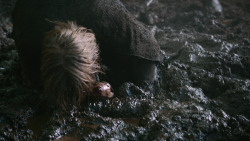 extant_GameOfThrones_3x04-AndNowHisWatchIsEnded_0159
