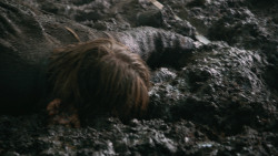 extant_GameOfThrones_3x04-AndNowHisWatchIsEnded_0237