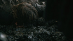 extant_GameOfThrones_3x04-AndNowHisWatchIsEnded_0239