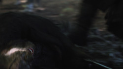 extant_GameOfThrones_3x04-AndNowHisWatchIsEnded_0242