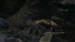 extant_GameOfThrones_3x04-AndNowHisWatchIsEnded_0259
