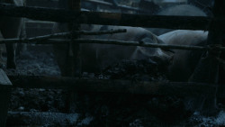 extant_GameOfThrones_3x04-AndNowHisWatchIsEnded_0797