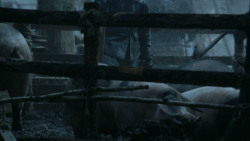 extant_GameOfThrones_3x04-AndNowHisWatchIsEnded_0799