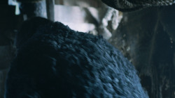 extant_GameOfThrones_3x04-AndNowHisWatchIsEnded_1013