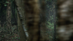 extant_GameOfThrones_3x04-AndNowHisWatchIsEnded_1026