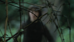 extant_GameOfThrones_3x04-AndNowHisWatchIsEnded_1035