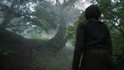 extant_GameOfThrones_3x04-AndNowHisWatchIsEnded_1043