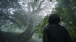 extant_GameOfThrones_3x04-AndNowHisWatchIsEnded_1048