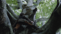 extant_GameOfThrones_3x04-AndNowHisWatchIsEnded_1074