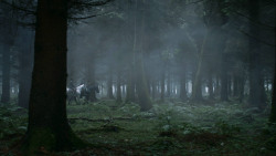 extant_GameOfThrones_3x04-AndNowHisWatchIsEnded_1829