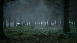 extant_GameOfThrones_3x04-AndNowHisWatchIsEnded_1831
