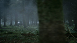 extant_GameOfThrones_3x04-AndNowHisWatchIsEnded_1833